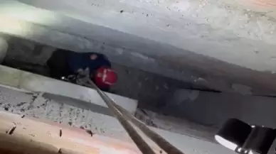Havalandırma boşluğunda mahsur kalan güvercin kurtarıldı