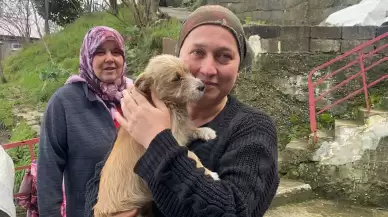 Zonguldak’ta vicdansızlık: yavru köpeği çöpe bıraktılar