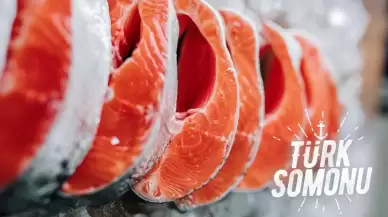 Somon ihracatından 4 milyon dolara yakın gelir