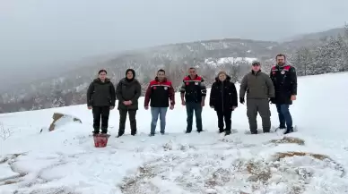 Amasya'da yaban hayvanları için besleme kampanyası başlatıldı