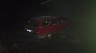 Köpeğe çarpmamak için manevra yapan otomobil tarlaya uçtu: 2 yaralı