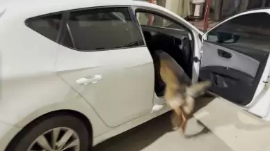 Otomobilin koltuğunun altına gizlemiş metamfetamini 'Mailo' buldu