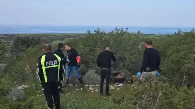 KKTC'de 14 yaban eşeğinin öldürülmesine ilişkin soruşturma