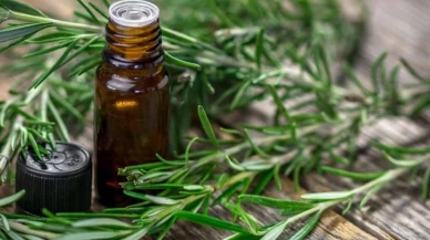 Biberiye yağı baş ağrısına iyi gelir mi?