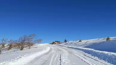 Kar yağışının etkili olduğu Elazığ, Siirt ve Bingöl illerinde 186 yerleşim yerine ulaşım engellendi