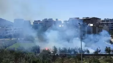 Antalya'da sazlık alandaki yangın kontrol altına alındı