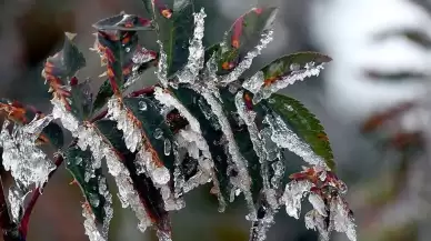 İzmir Valiliği'nden soğuk hava ve zirai don uyarısı