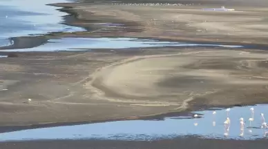 Didim ve Çeşme'de alarm: Deniz suyu kıyıdan çekiliyor