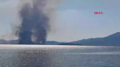 Muğla'nın Köyceğiz ilçesinde çıkan yangın kontrol altına alınmaya çalışılıyor