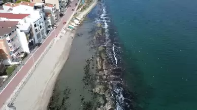 Marmara Denizi'nde sıradışı olay: 'Kral Yolu' kayalıkları gün yüzüne çıktı
