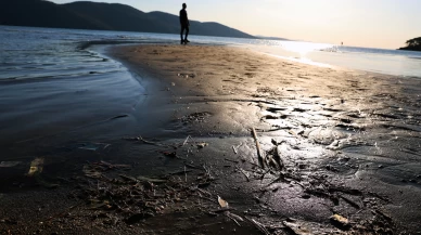 Ege kıyılarında panik! Muğla'da deniz suyu aniden çekildi, uzmanlardan açıklama geldi