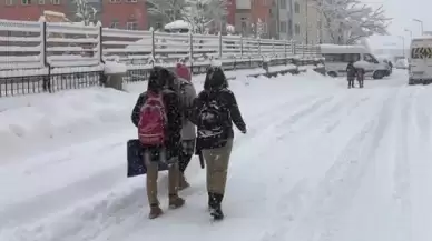 Adıyaman'ın 7 ilçesinde eğitime kar engeli