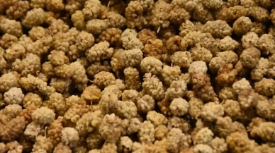 Uyumadan önce 1 avuç kuru dut yerseniz ne olur? İşte şaşırtan faydaları!