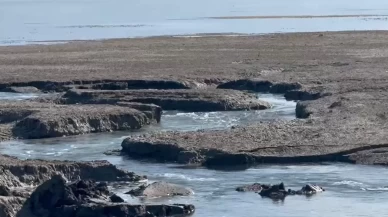 Eğirdir Gölü'nde tehlike büyüyor!