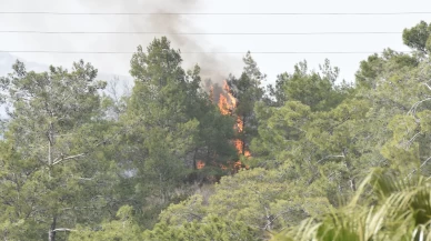 Antalya'da ormanlık alanda çıkan yangın paniğe neden oldu!