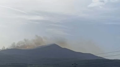 Muğla Milas’ta orman yangını: Ekipler alevlere müdahale ediyor