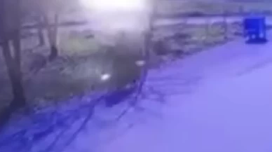 Hamile kadının hayatını kaybettiği kazanın görüntüleri ortaya çıktı