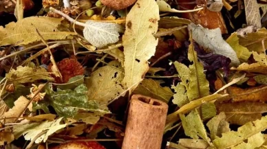 Bağışıklığınızı güçlendirmenin en lezzetli yolu