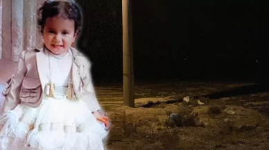 Başıboş köpek saldırısına soruşturma... Bakan Tunç duyurdu