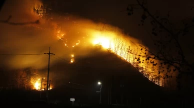 Güney Kore'deki orman yangınlarında bilanço artıyor! Ölü sayısı 28'e yükseldi