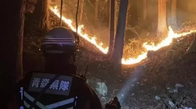 Japonya'daki orman yangınları 600 hektardan fazla alanı kül etti