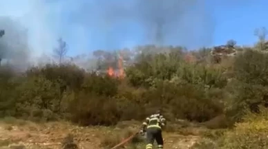 Muğla Menteşe'deki yangın söndürüldü