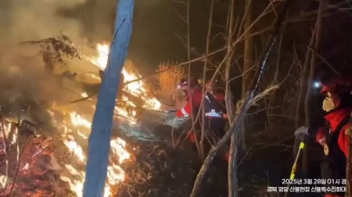 Güney Kore, tarihinin en yıkıcı orman yangınlarını yaşıyor