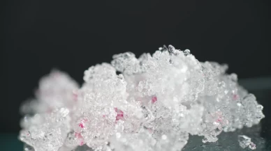 Borun vücuda zararı var mı?