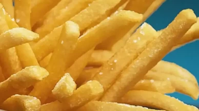 Çıtır çıtır patates kızartması için ipuçları: Evde fast food lezzeti