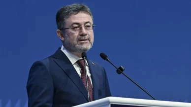 Bakan Yumaklı: Başıboş köpeklerin yerleri sokaklar değildir