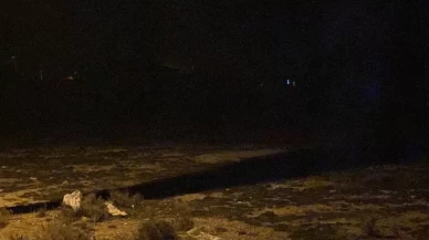 Konya’da dehşet! 2 yaşındaki çocuk köpeklerin saldırısından kurtulamadı