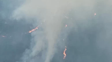 Balıkesir'de çıkan orman yangınına müdahale ediliyor