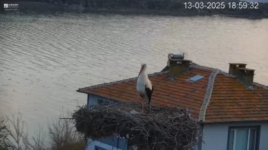 Baharın habercisi Yaren Leylek gecikti