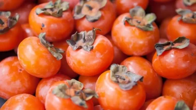 Cennet Hurmasının Faydaları: Trabzon Hurması Nedir ve Ne İşe Yarar?