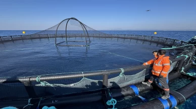 Adana’da denizde kafes balıkçılığı başladı, üretim 10 kat artacak