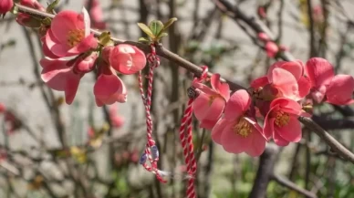 Baharın gelişinin simgesi 'Marteniçkalar' artık 'Yareniçka' oldu