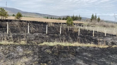 Çorum'da çıkan örtü yangını söndürüldü