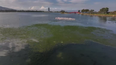 İzmir Büyükşehir Belediyesine 1 milyon 858 bin lira "çevre" cezası