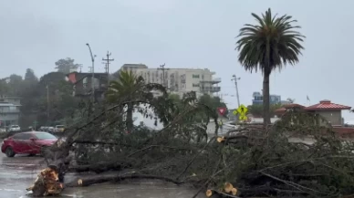 ABD'nin güneyini şiddetli fırtına vurdu: 2 ölü