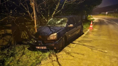 Otomobil elektrik direğine çarptı: 3 yaralı