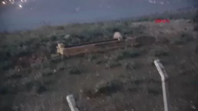 Hatay'ın Kırıkhan ilçesinde nesli tükenme tehlikesi altında olan çizgili sırtlan görüntülendi