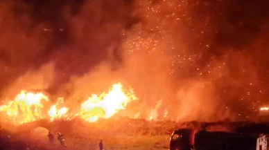 Hatay'da ormanlık alanda çıkan yangın söndürüldü