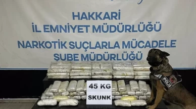 Hakkari'de tır dorsesinde 45 kg skunk bulundu