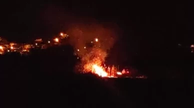 Van'da birçok kuş türüne ev sahipliği yapan sazlık alan yandı