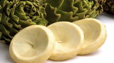 Enginar Nasıl Pişirilir? Baharın En Sağlıklı Sebzesi Sofralarınıza Geliyor!