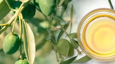 Yağ yakımını hızlandıran doğal mucize