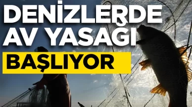 Denizlerde av yasağı başlıyor! İşte o tarih...