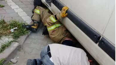 Edremit’te aracın içinde sıkışan yavru kedi kurtarıldı