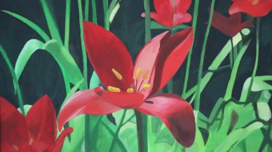 'Amasya çiçekleri' tablolarda açtı