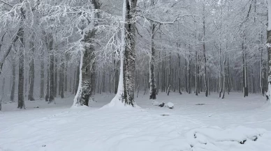 Baharda "kar" sürprizi: Birçok il beyaza büründü
